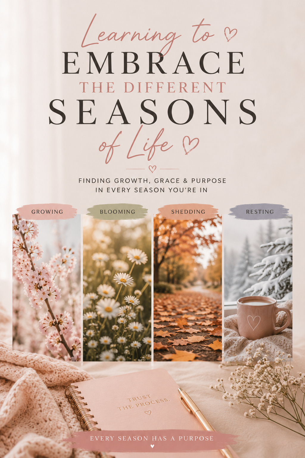 Learning To Embrace The Seasons